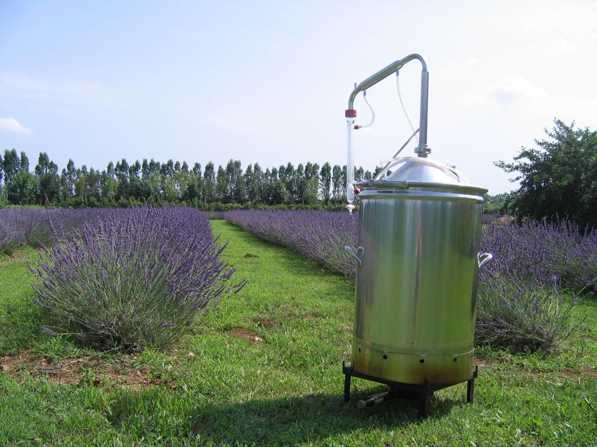 Agriturismo Domus Magna Povoletto Екстериор снимка