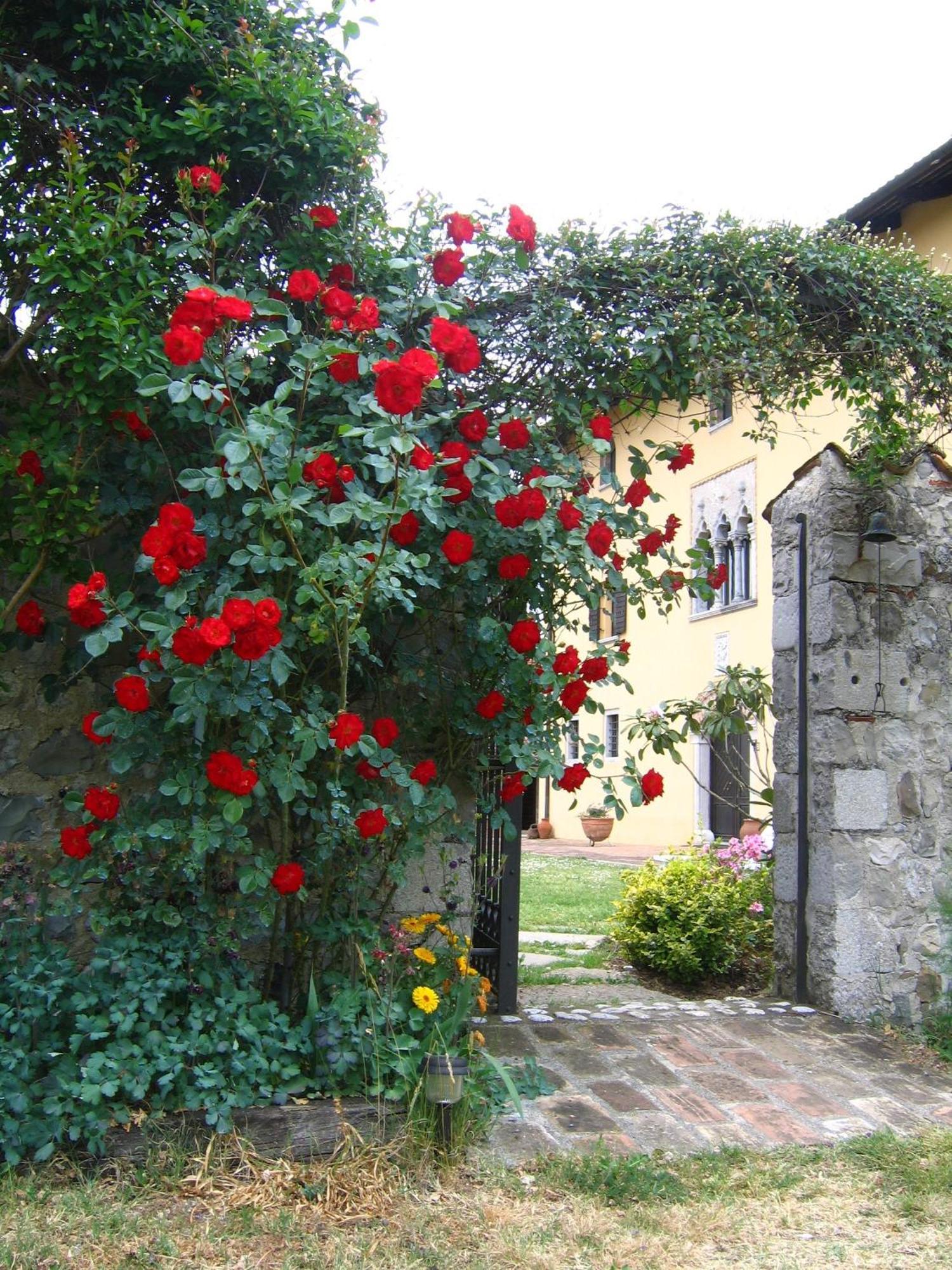 Agriturismo Domus Magna Povoletto Екстериор снимка