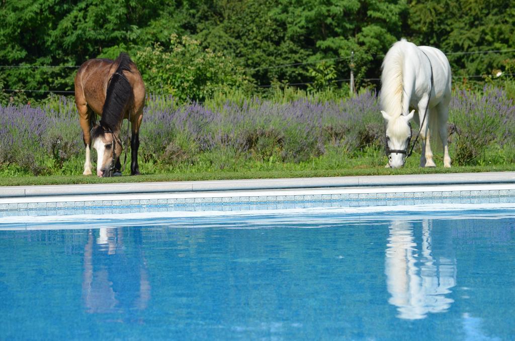 Agriturismo Domus Magna Povoletto Екстериор снимка